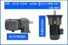 EWG系列全封闭斜齿轮减速机资料